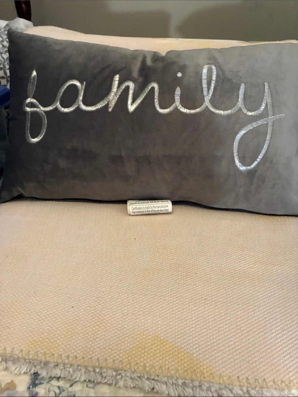 Eurasia Decor Family Embroidered Gray Accent Pillow-w/duck feathers, Luxe Home